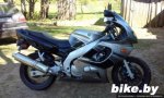 Yamaha YZF600 photo