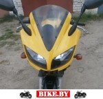 Yamaha FZS photo 1