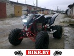 Suzuki QuadSport photo