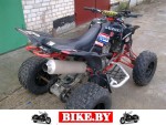 Suzuki QuadSport photo 5