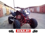 Suzuki QuadSport photo 1