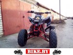 Suzuki QuadSport photo 4