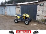 Suzuki QuadSport photo 1