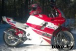 Honda CBR photo