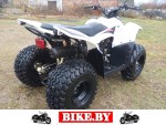 Stels ATV photo 2