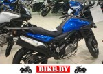 Suzuki V-Strom photo 2