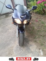 Suzuki SV photo 5