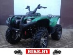 Yamaha Grizzly photo 3